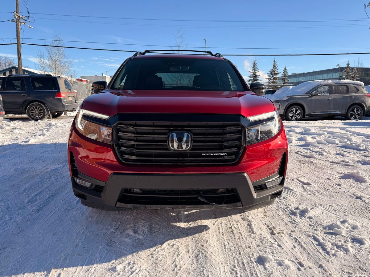 2024 Honda Passport - Image 2