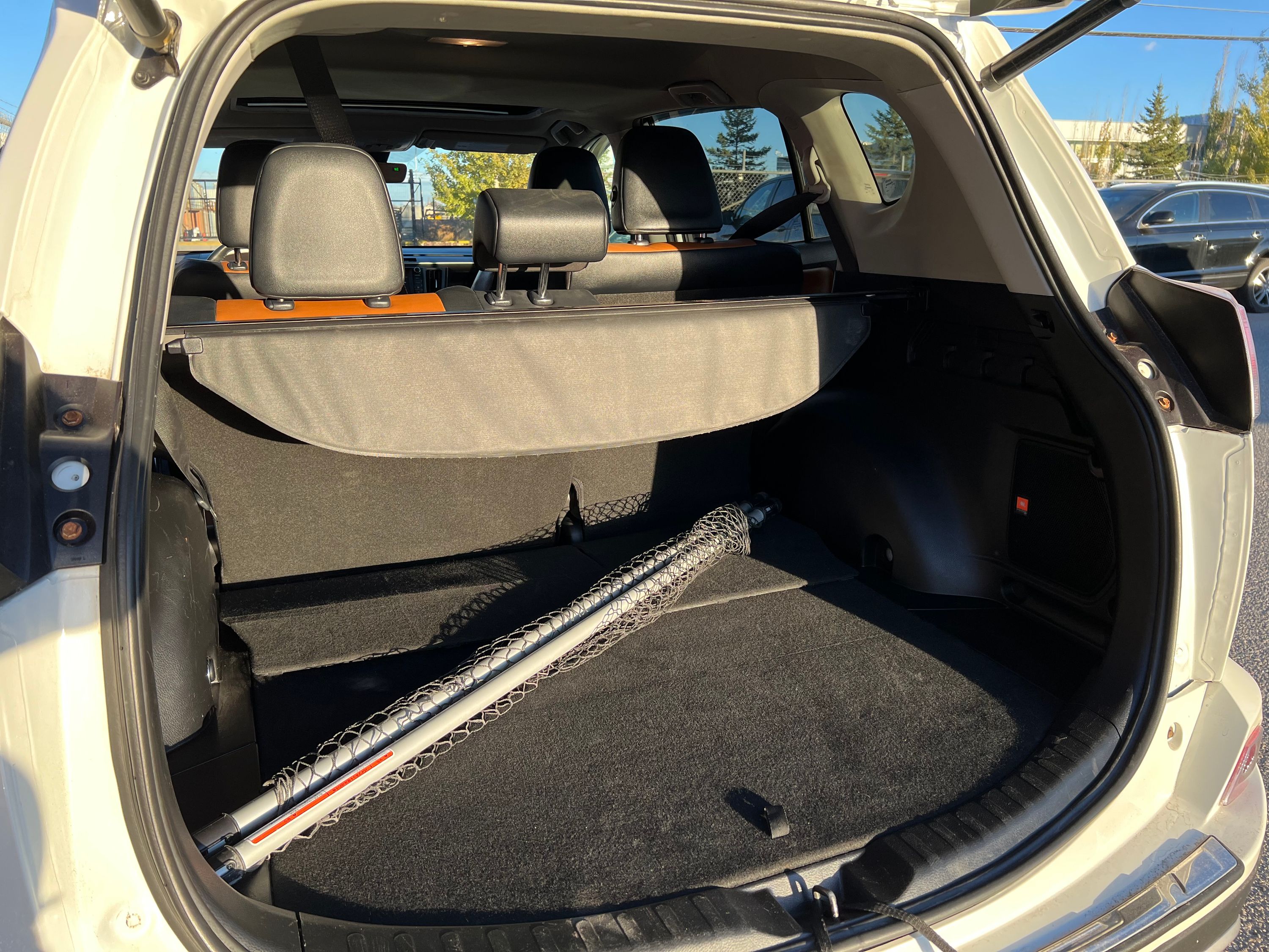 2018 Toyota RAV4 Limited, photo 10