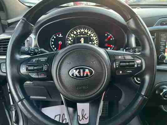 2017 Kia Sorento SX+, photo 15